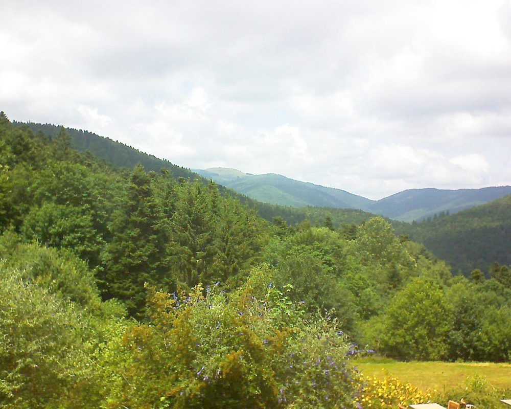 Le petit ballon vu depuis le Domaine Langmatt à Murbach le 15.07.2019 à 14:00 Le petit ballon (Alsace, Vosges) le 15.07.2019 à 14:00