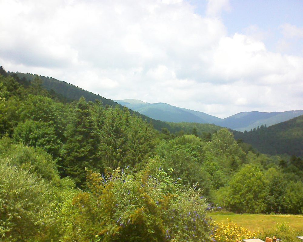 Le petit ballon vu depuis le Domaine Langmatt à Murbach le 15.07.2019 à 14:15 Le petit ballon (Alsace, Vosges) le 15.07.2019 à 14:15
