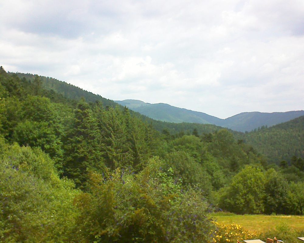 Le petit ballon vu depuis le Domaine Langmatt à Murbach le 18.07.2019 à 11:45 Le petit ballon (Alsace, Vosges) le 18.07.2019 à 11:45