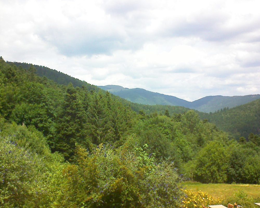 Le petit ballon vu depuis le Domaine Langmatt à Murbach le 19.07.2019 à 13:15 Le petit ballon (Alsace, Vosges) le 19.07.2019 à 13:15