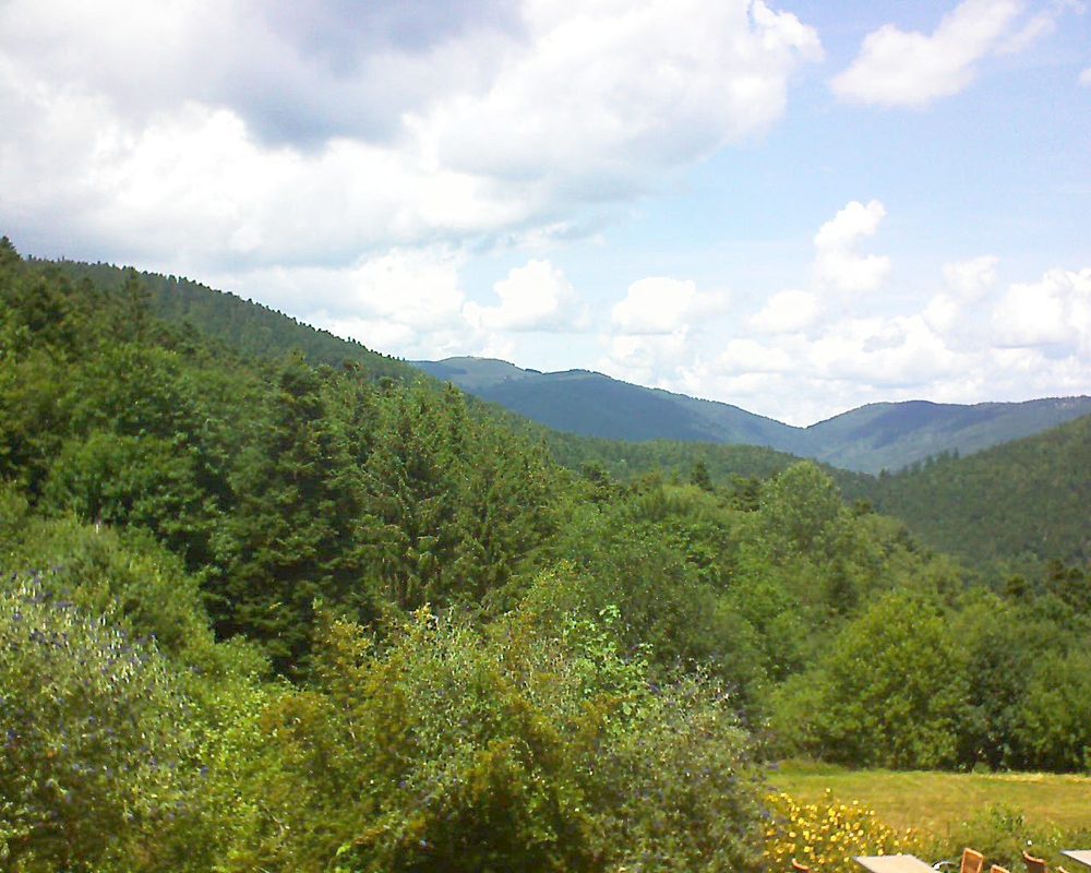 Le petit ballon vu depuis le Domaine Langmatt à Murbach le 21.07.2019 à 14:00 Le petit ballon (Alsace, Vosges) le 21.07.2019 à 14:00