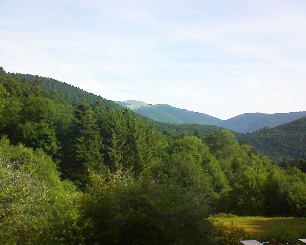 Le petit ballon vu depuis le Domaine Langmatt à Murbach le 22.07.2019 à 09:00 Le petit ballon (Alsace, Vosges) le 22.07.2019 à 09:00