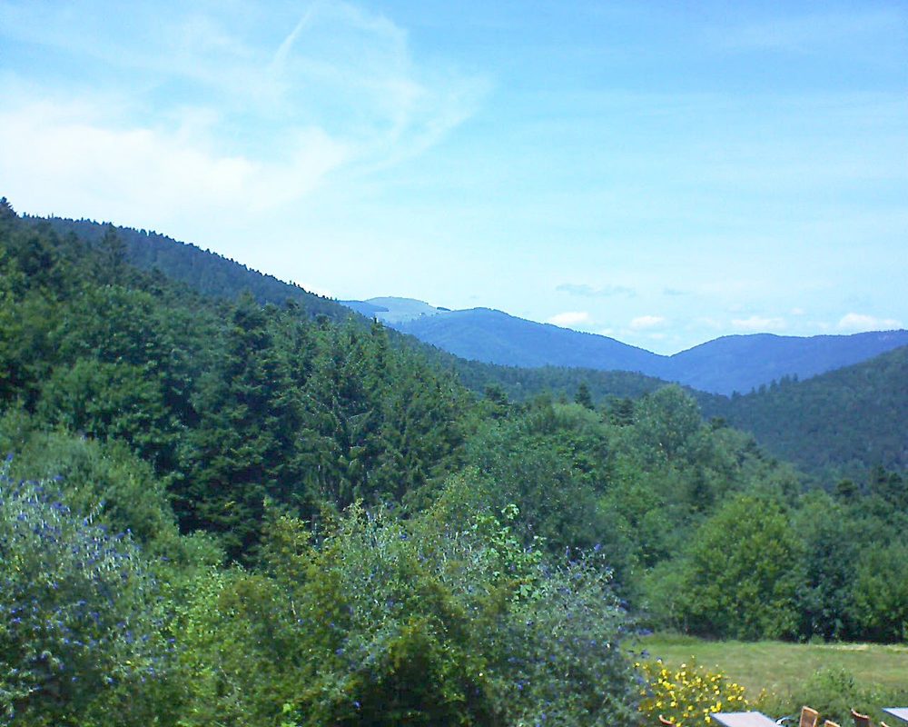 Le petit ballon vu depuis le Domaine Langmatt à Murbach le 22.07.2019 à 14:15 Le petit ballon (Alsace, Vosges) le 22.07.2019 à 14:15