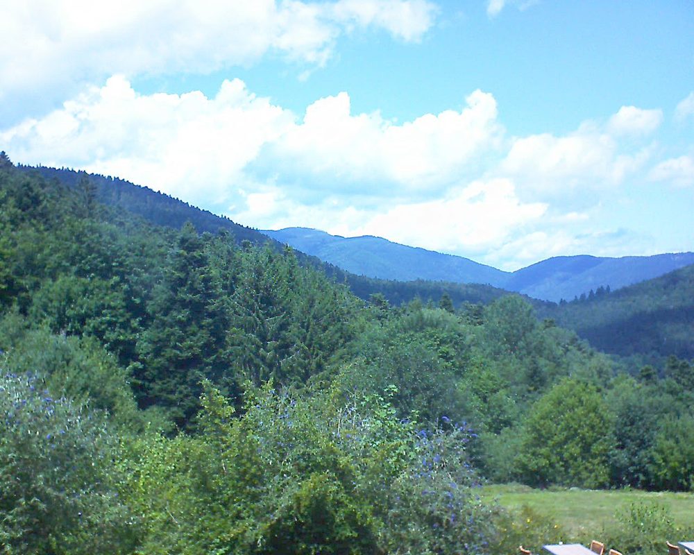 Le petit ballon vu depuis le Domaine Langmatt à Murbach le 08.08.2019 à 14:00 Le petit ballon (Alsace, Vosges) le 08.08.2019 à 14:00