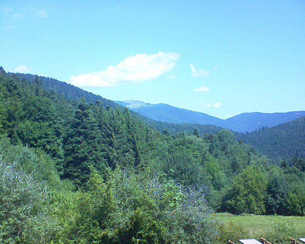 Le petit ballon vu depuis le Domaine Langmatt à Murbach le 11.08.2019 à 12:00 Le petit ballon (Alsace, Vosges) le 11.08.2019 à 12:00