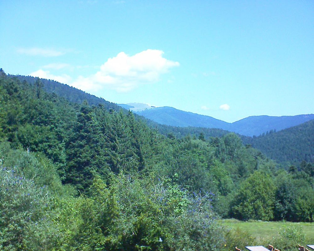 Le petit ballon vu depuis le Domaine Langmatt à Murbach le 11.08.2019 à 12:15 Le petit ballon (Alsace, Vosges) le 11.08.2019 à 12:15