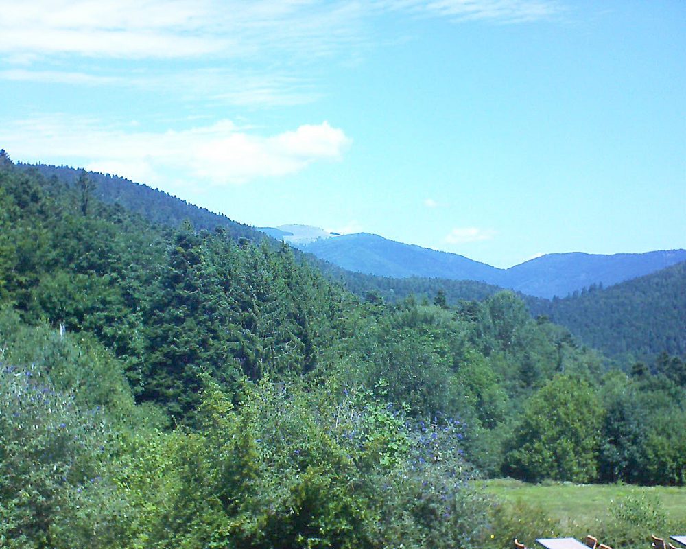 Le petit ballon vu depuis le Domaine Langmatt à Murbach le 11.08.2019 à 12:30 Le petit ballon (Alsace, Vosges) le 11.08.2019 à 12:30
