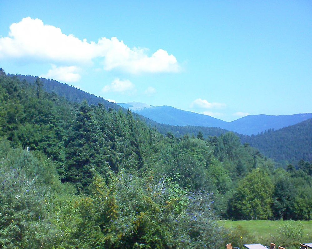 Le petit ballon vu depuis le Domaine Langmatt à Murbach le 25.08.2019 à 12:15 Le petit ballon (Alsace, Vosges) le 25.08.2019 à 12:15