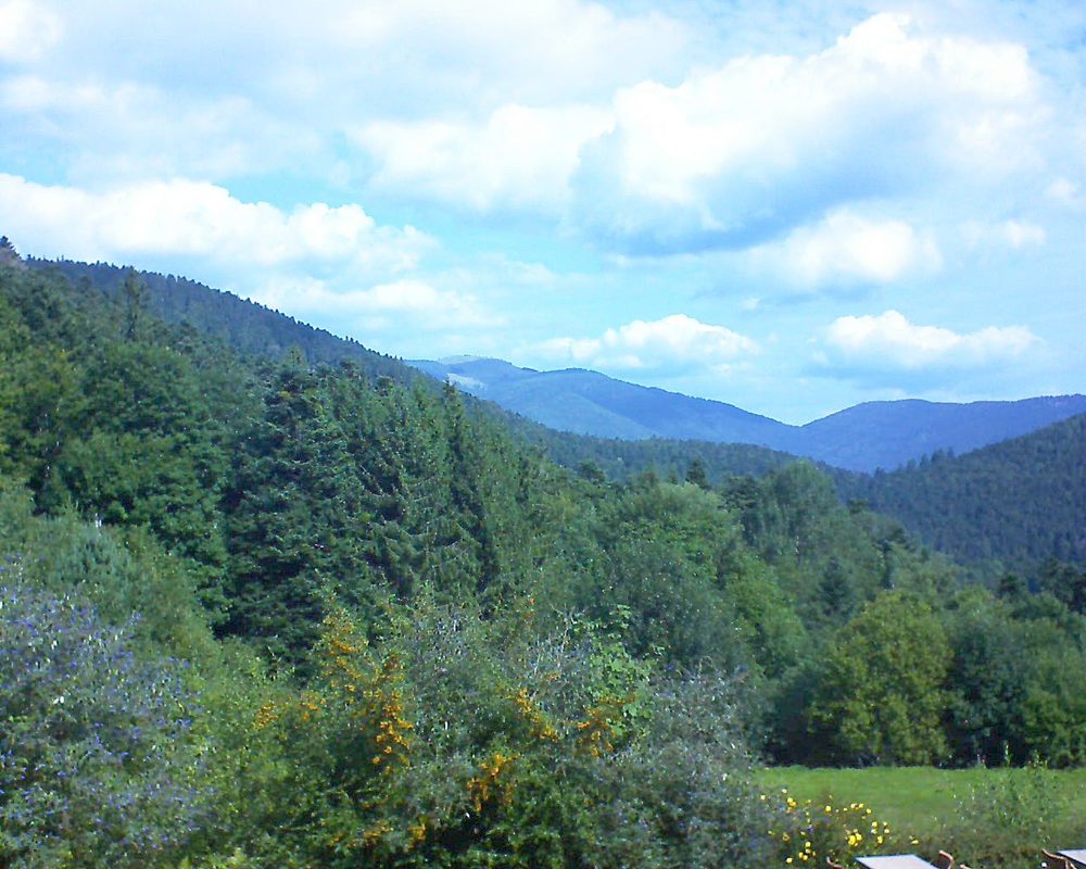 Le petit ballon vu depuis le Domaine Langmatt à Murbach le 11.09.2019 à 11:30 Le petit ballon (Alsace, Vosges) le 11.09.2019 à 11:30
