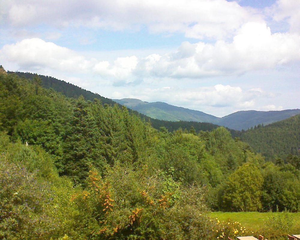 Le petit ballon vu depuis le Domaine Langmatt à Murbach le 11.09.2019 à 12:00 Le petit ballon (Alsace, Vosges) le 11.09.2019 à 12:00