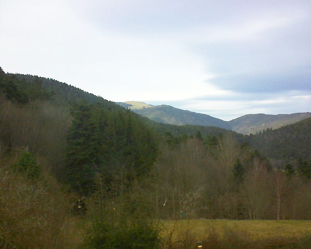 Le petit ballon vu depuis le Domaine Langmatt à Murbach le 14.01.2020 à 16:00 Le petit ballon (Alsace, Vosges) le 14.01.2020 à 16:00