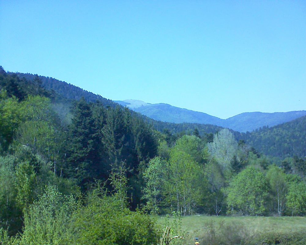 Le petit ballon vu depuis le Domaine Langmatt à Murbach le 23.04.2020 à 16:00 Le petit ballon (Alsace, Vosges) le 23.04.2020 à 16:00