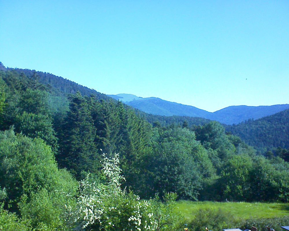 Le petit ballon vu depuis le Domaine Langmatt à Murbach le 30.05.2020 à 09:15 Le petit ballon (Alsace, Vosges) le 30.05.2020 à 09:15