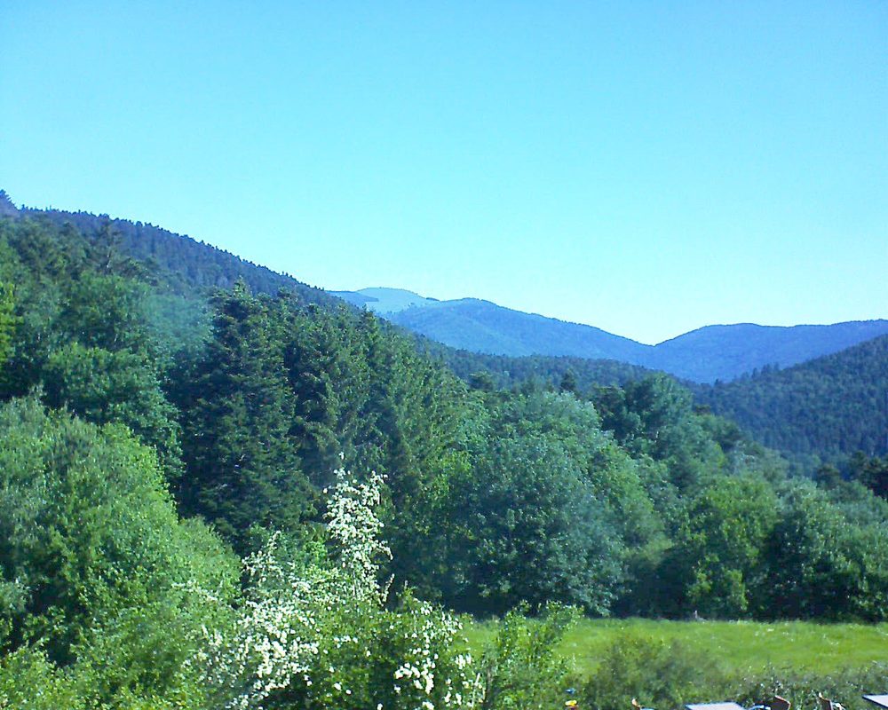 Le petit ballon vu depuis le Domaine Langmatt à Murbach le 30.05.2020 à 10:00 Le petit ballon (Alsace, Vosges) le 30.05.2020 à 10:00