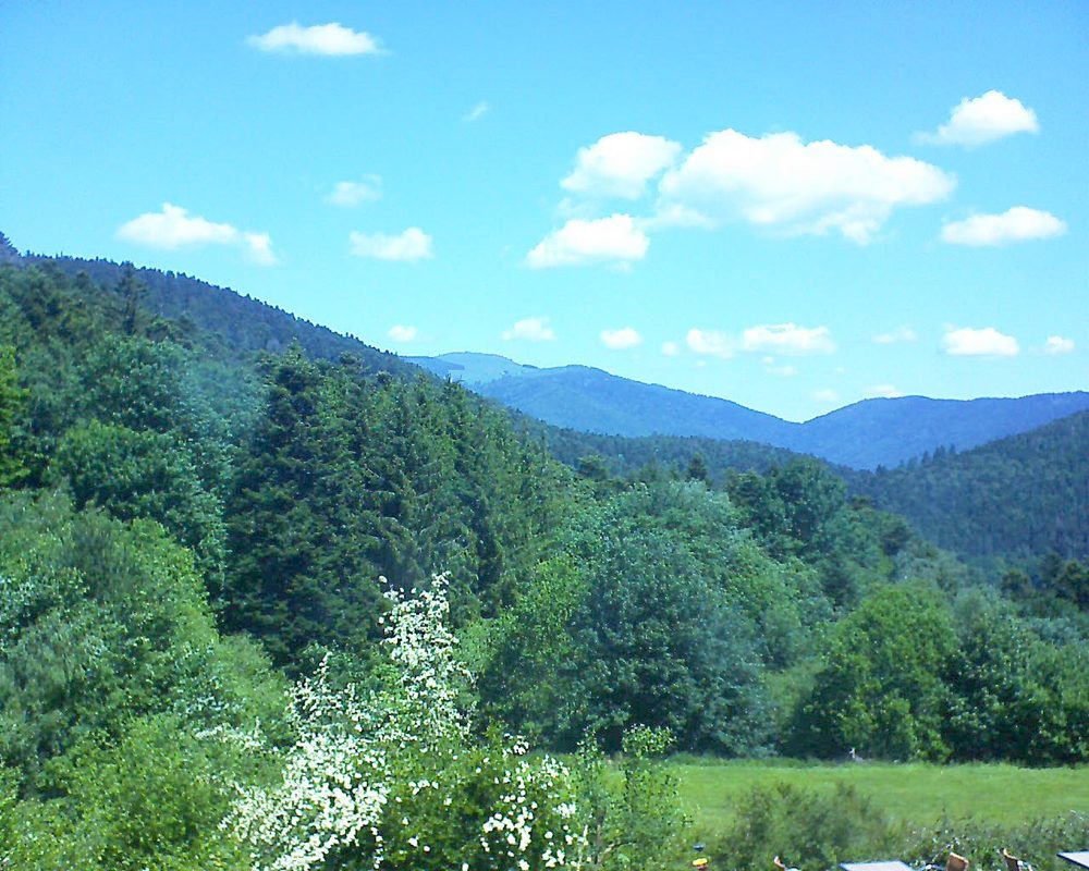 Le petit ballon vu depuis le Domaine Langmatt à Murbach le 30.05.2020 à 12:00 Le petit ballon (Alsace, Vosges) le 30.05.2020 à 12:00