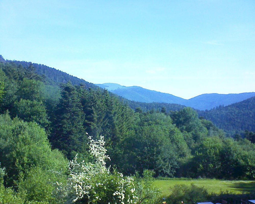Le petit ballon vu depuis le Domaine Langmatt à Murbach le 02.06.2020 à 09:00 Le petit ballon (Alsace, Vosges) le 02.06.2020 à 09:00