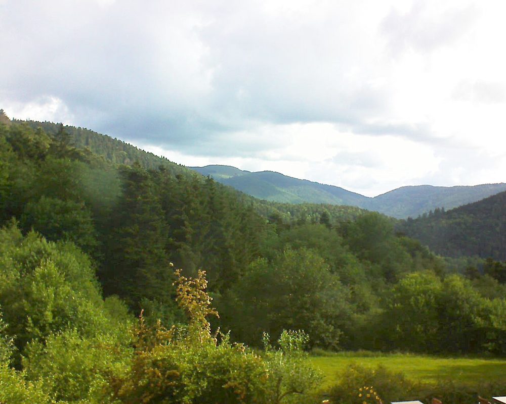 Le petit ballon vu depuis le Domaine Langmatt à Murbach le 16.06.2020 à 08:45 Le petit ballon (Alsace, Vosges) le 16.06.2020 à 08:45
