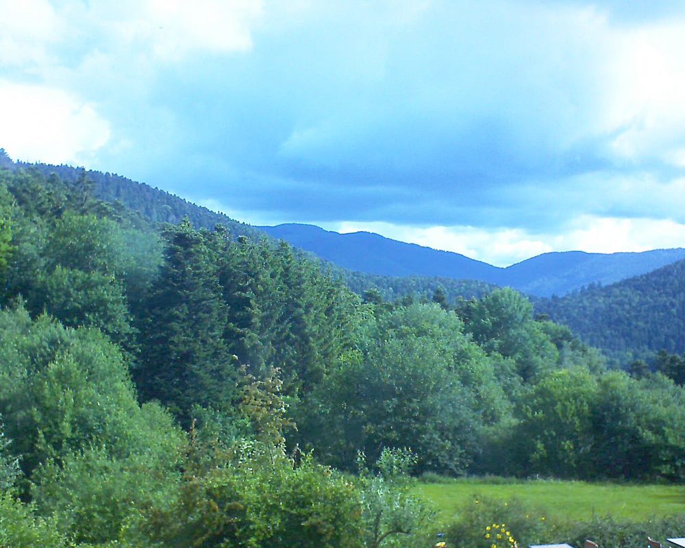 Le petit ballon vu depuis le Domaine Langmatt à Murbach le 16.06.2020 à 09:15 Le petit ballon (Alsace, Vosges) le 16.06.2020 à 09:15