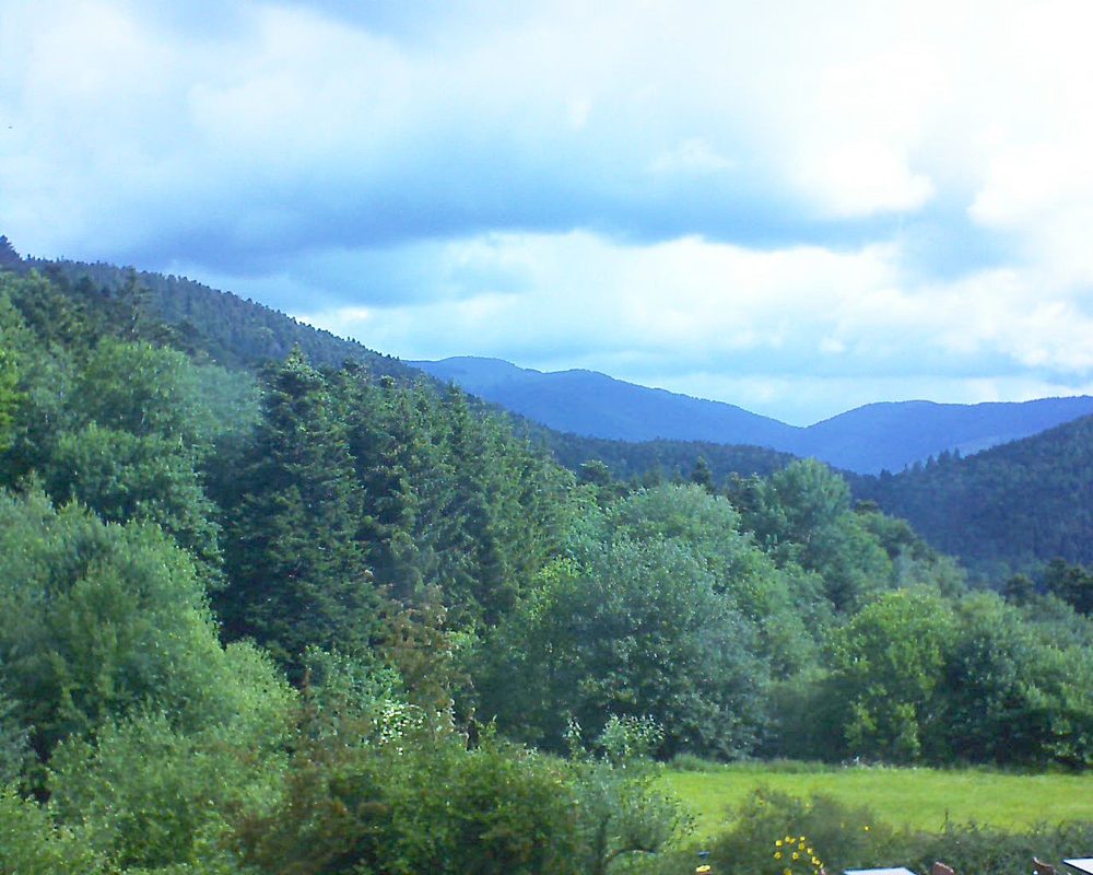Le petit ballon vu depuis le Domaine Langmatt à Murbach le 16.06.2020 à 10:00 Le petit ballon (Alsace, Vosges) le 16.06.2020 à 10:00