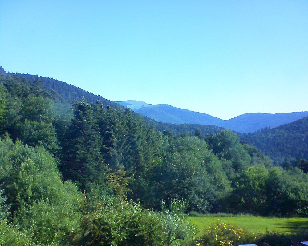 Le petit ballon vu depuis le Domaine Langmatt à Murbach le 23.06.2020 à 09:00 Le petit ballon (Alsace, Vosges) le 23.06.2020 à 09:00