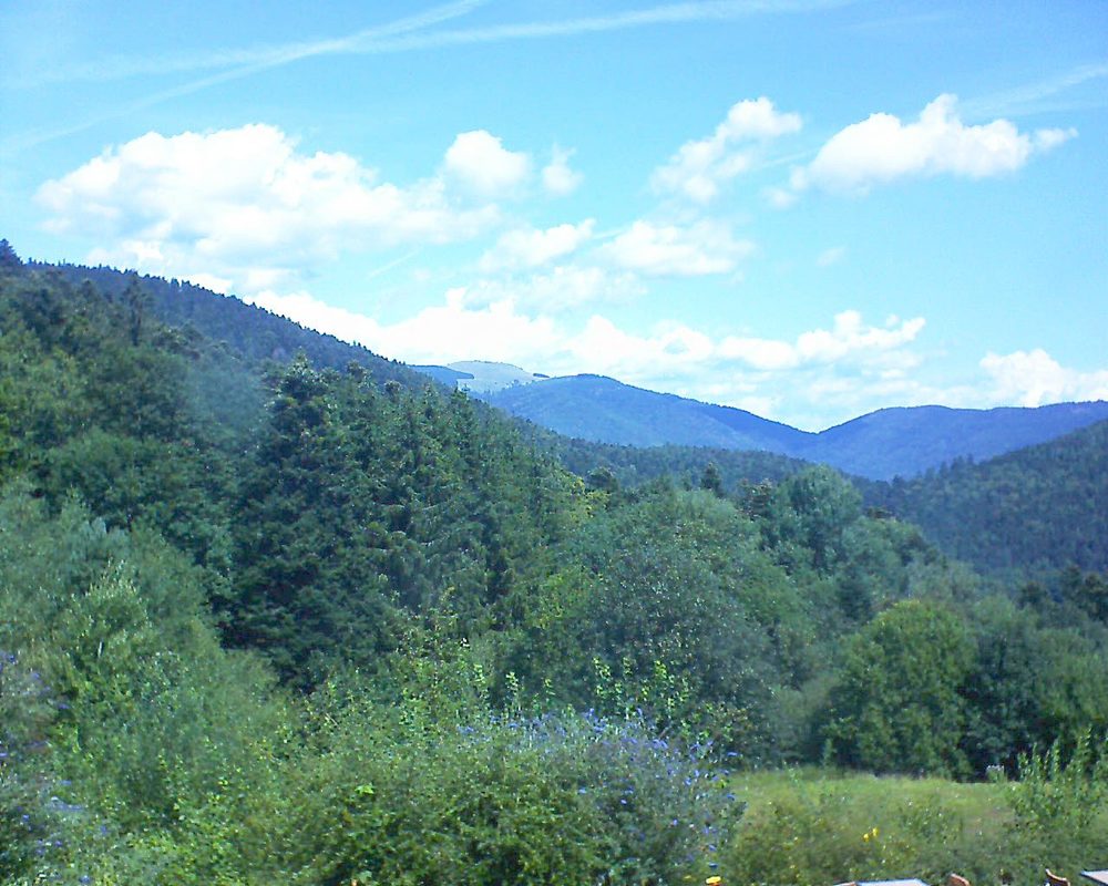 Le petit ballon vu depuis le Domaine Langmatt à Murbach le 16.08.2020 à 12:15 Le petit ballon (Alsace, Vosges) le 16.08.2020 à 12:15