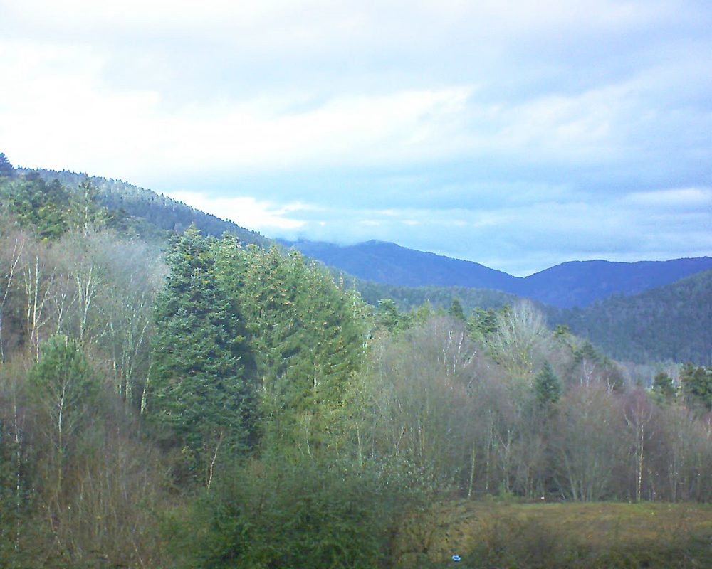Le petit ballon vu depuis le Domaine Langmatt à Murbach le 16.12.2020 à 12:30 Le petit ballon (Alsace, Vosges) le 16.12.2020 à 12:30