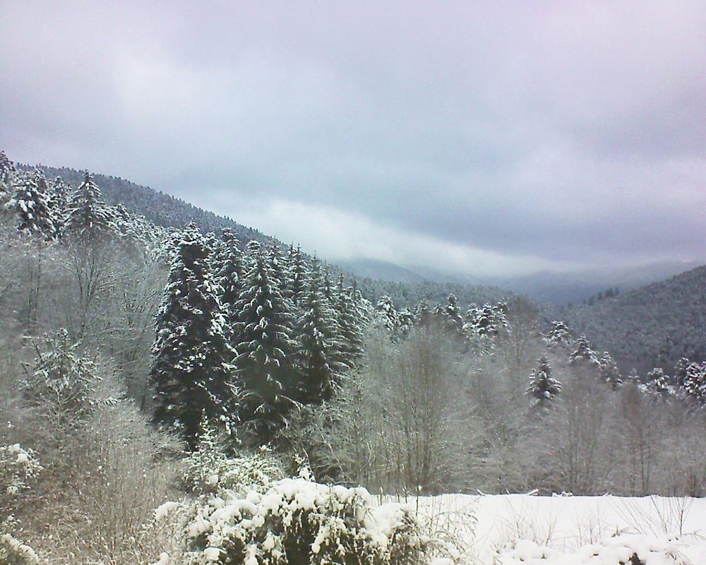 Le petit ballon vu depuis le Domaine Langmatt à Murbach le 02.01.2021 à 12:30 Le petit ballon (Alsace, Vosges) le 02.01.2021 à 12:30