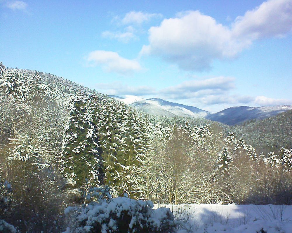 Le petit ballon vu depuis le Domaine Langmatt à Murbach le 08.01.2021 à 12:30 Le petit ballon (Alsace, Vosges) le 08.01.2021 à 12:30