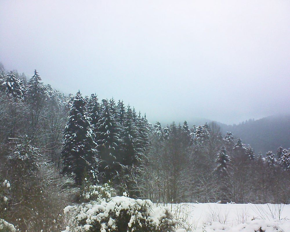 Le petit ballon vu depuis le Domaine Langmatt à Murbach le 09.01.2021 à 09:30 Le petit ballon (Alsace, Vosges) le 09.01.2021 à 09:30