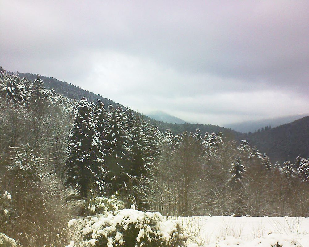 Le petit ballon vu depuis le Domaine Langmatt à Murbach le 09.01.2021 à 11:30 Le petit ballon (Alsace, Vosges) le 09.01.2021 à 11:30