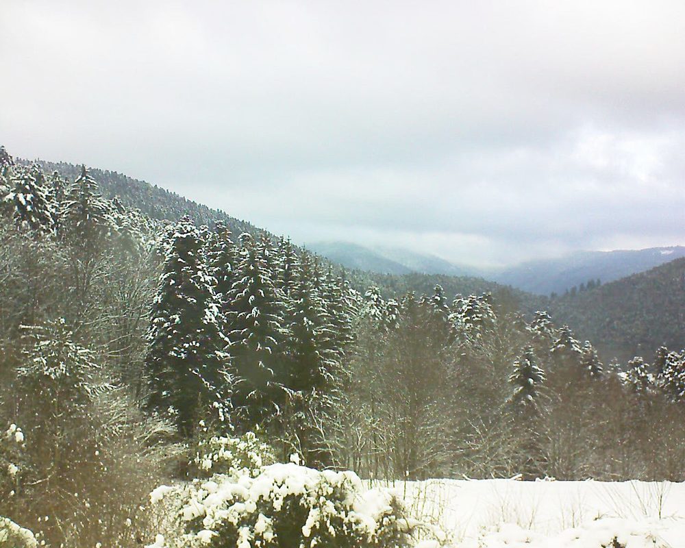Le petit ballon vu depuis le Domaine Langmatt à Murbach le 09.01.2021 à 12:15 Le petit ballon (Alsace, Vosges) le 09.01.2021 à 12:15