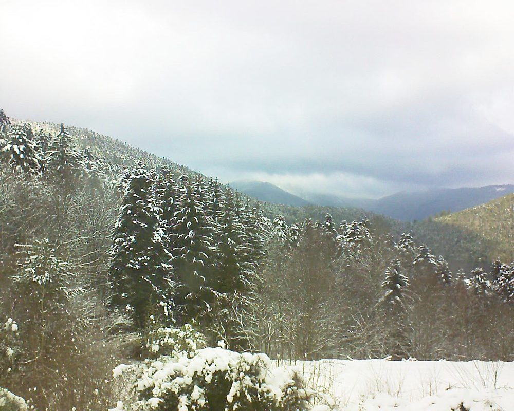 Le petit ballon vu depuis le Domaine Langmatt à Murbach le 09.01.2021 à 12:30 Le petit ballon (Alsace, Vosges) le 09.01.2021 à 12:30