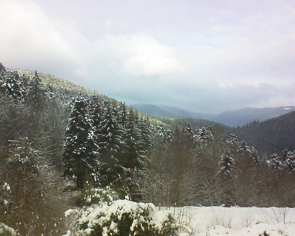 Le petit ballon vu depuis le Domaine Langmatt à Murbach le 09.01.2021 à 12:45 Le petit ballon (Alsace, Vosges) le 09.01.2021 à 12:45
