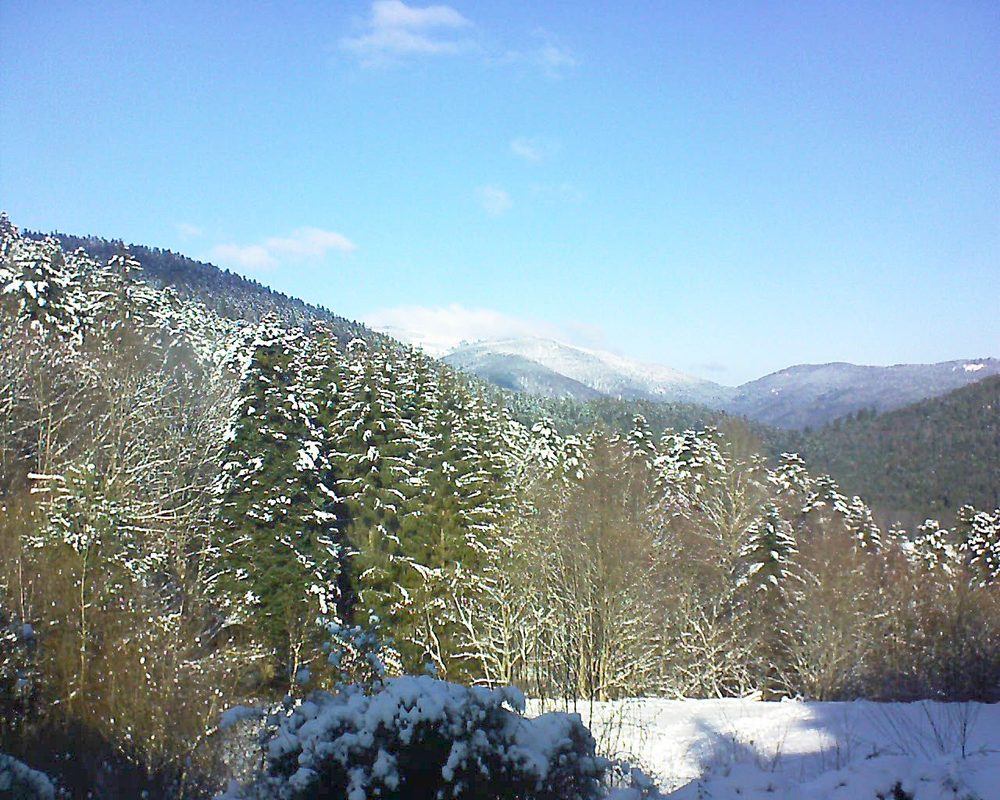 Le petit ballon vu depuis le Domaine Langmatt à Murbach le 10.01.2021 à 12:30 Le petit ballon (Alsace, Vosges) le 10.01.2021 à 12:30