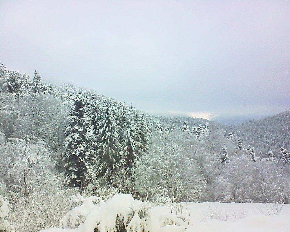 Le petit ballon vu depuis le Domaine Langmatt à Murbach le 16.01.2021 à 09:30 Le petit ballon (Alsace, Vosges) le 16.01.2021 à 09:30
