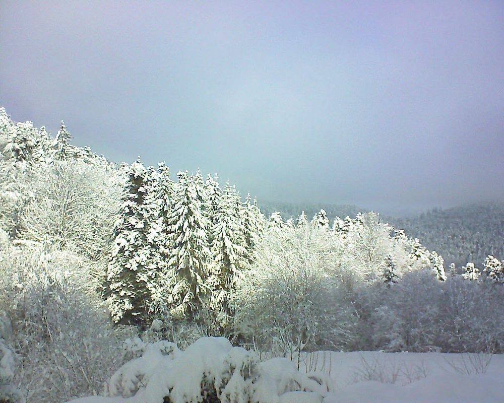 Le petit ballon vu depuis le Domaine Langmatt à Murbach le 16.01.2021 à 11:30 Le petit ballon (Alsace, Vosges) le 16.01.2021 à 11:30