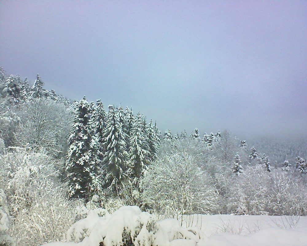 Le petit ballon vu depuis le Domaine Langmatt à Murbach le 16.01.2021 à 12:30 Le petit ballon (Alsace, Vosges) le 16.01.2021 à 12:30