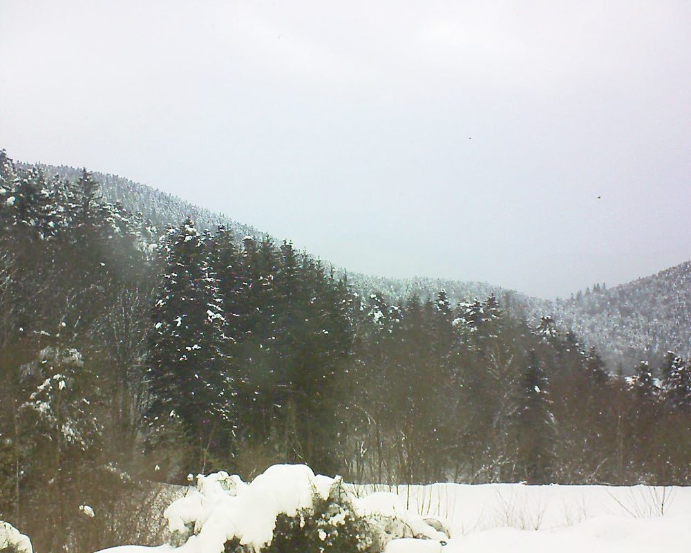 Le petit ballon vu depuis le Domaine Langmatt à Murbach le 17.01.2021 à 12:30 Le petit ballon (Alsace, Vosges) le 17.01.2021 à 12:30