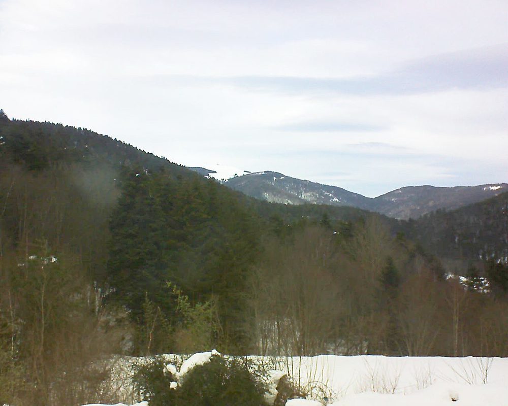 Le petit ballon vu depuis le Domaine Langmatt à Murbach le 20.01.2021 à 12:30