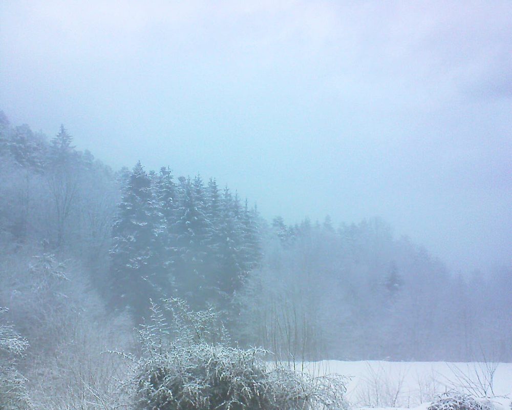 Le petit ballon vu depuis le Domaine Langmatt à Murbach le 23.01.2021 à 08:30 Le petit ballon (Alsace, Vosges) le 23.01.2021 à 08:30