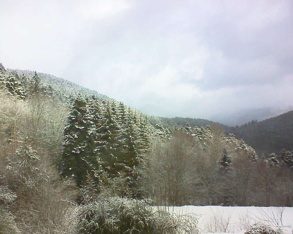Le petit ballon vu depuis le Domaine Langmatt à Murbach le 23.01.2021 à 11:15 Le petit ballon (Alsace, Vosges) le 23.01.2021 à 11:15