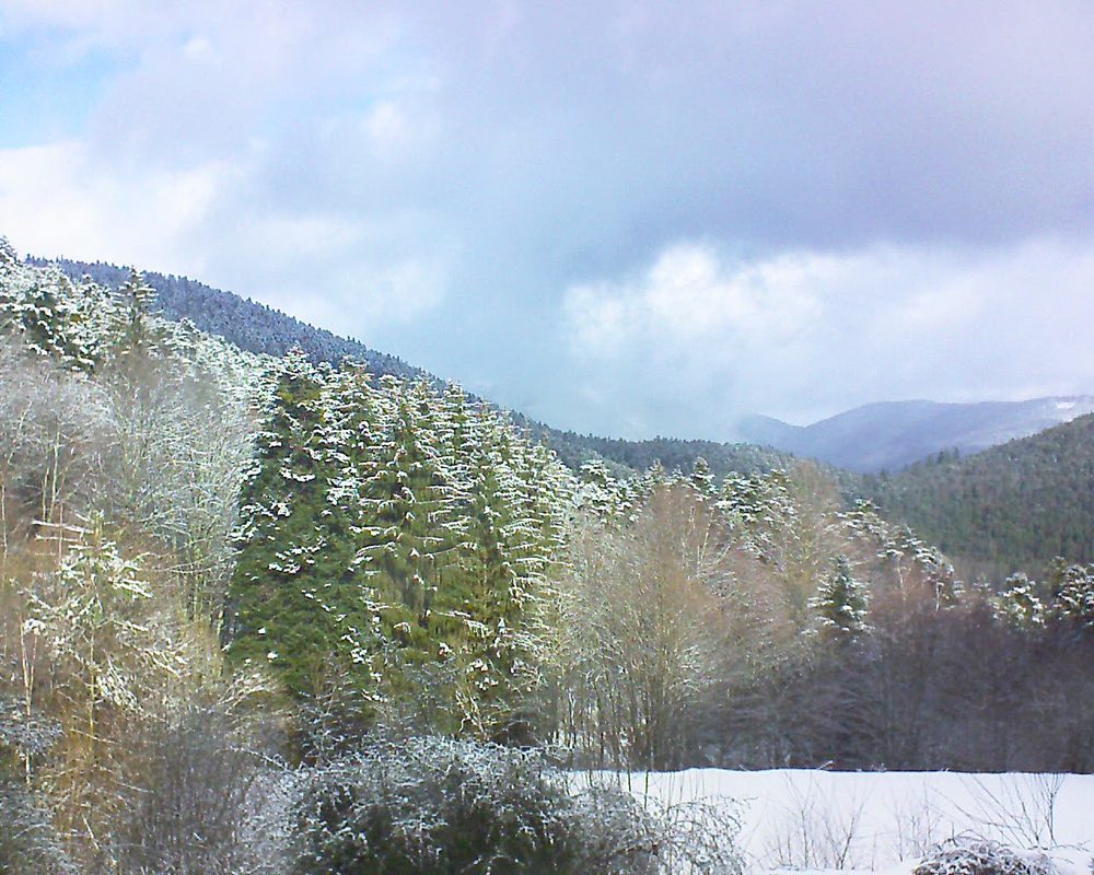 Le petit ballon vu depuis le Domaine Langmatt à Murbach le 23.01.2021 à 11:30 Le petit ballon (Alsace, Vosges) le 23.01.2021 à 11:30