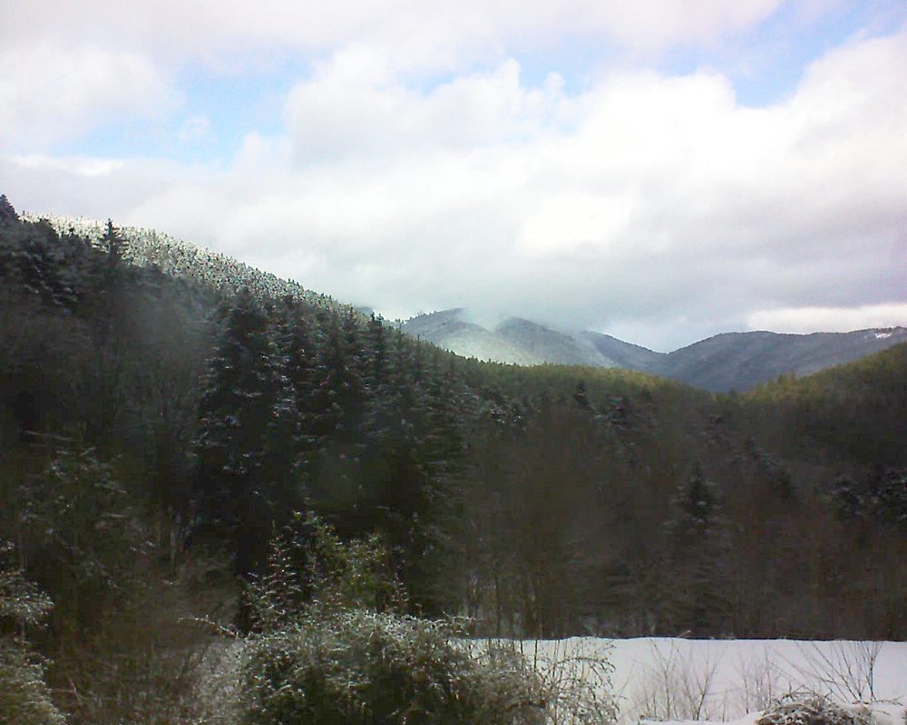 Le petit ballon vu depuis le Domaine Langmatt à Murbach le 23.01.2021 à 12:00 Le petit ballon (Alsace, Vosges) le 23.01.2021 à 12:00
