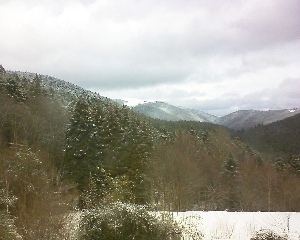 Le petit ballon vu depuis le Domaine Langmatt à Murbach le 23.01.2021 à 12:30 Le petit ballon (Alsace, Vosges) le 23.01.2021 à 12:30