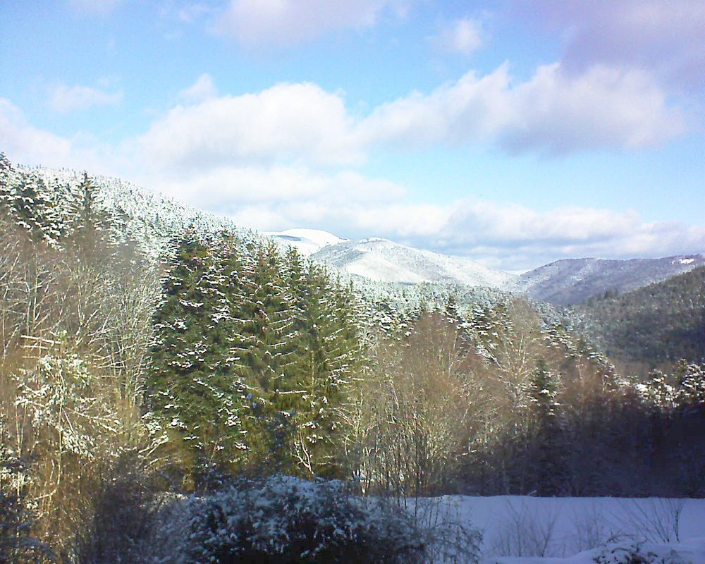 Le petit ballon vu depuis le Domaine Langmatt à Murbach le 24.01.2021 à 11:30 Le petit ballon (Alsace, Vosges) le 24.01.2021 à 11:30