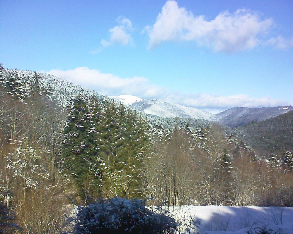 Le petit ballon vu depuis le Domaine Langmatt à Murbach le 24.01.2021 à 12:15 Le petit ballon (Alsace, Vosges) le 24.01.2021 à 12:15