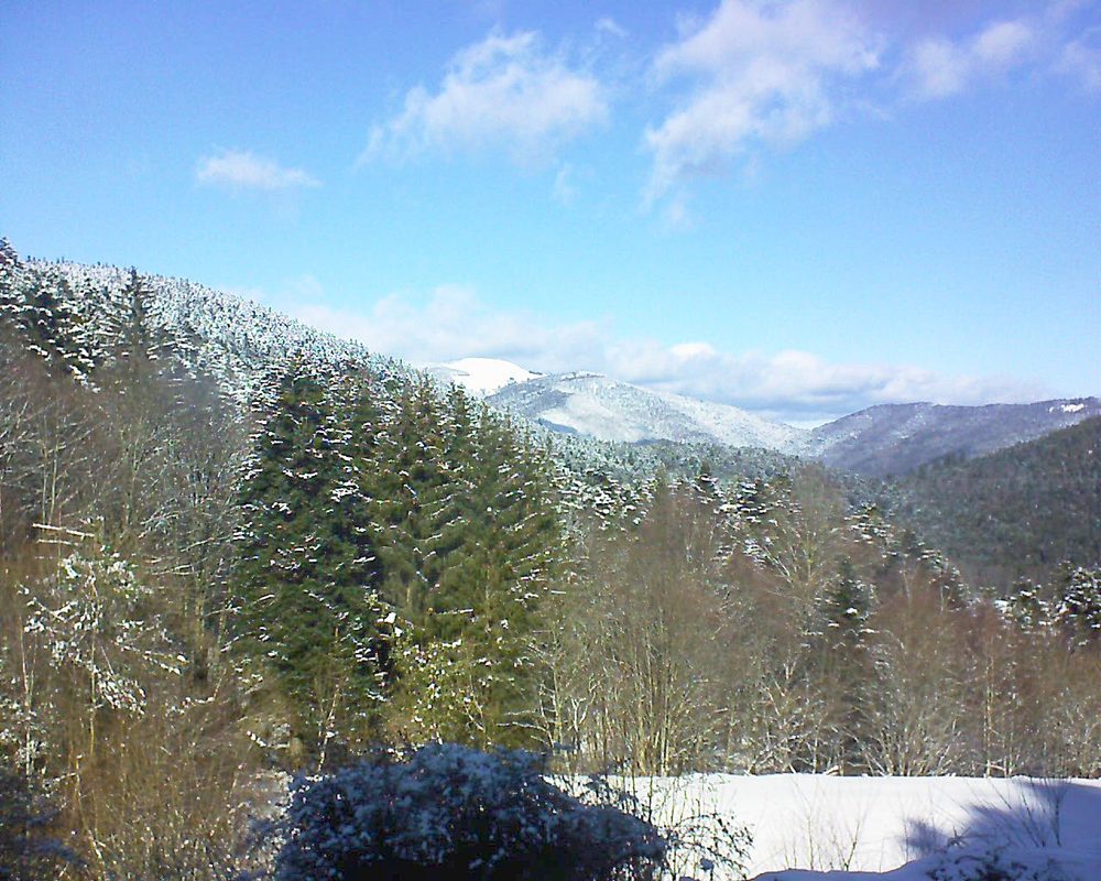 Le petit ballon vu depuis le Domaine Langmatt à Murbach le 24.01.2021 à 12:30 Le petit ballon (Alsace, Vosges) le 24.01.2021 à 12:30