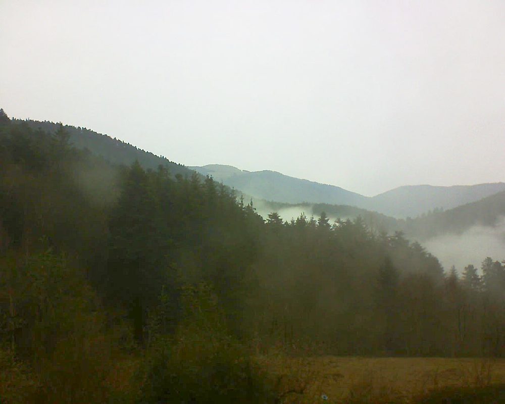 Le petit ballon vu depuis le Domaine Langmatt à Murbach le 06.02.2021 à 11:30 Le petit ballon (Alsace, Vosges) le 06.02.2021 à 11:30