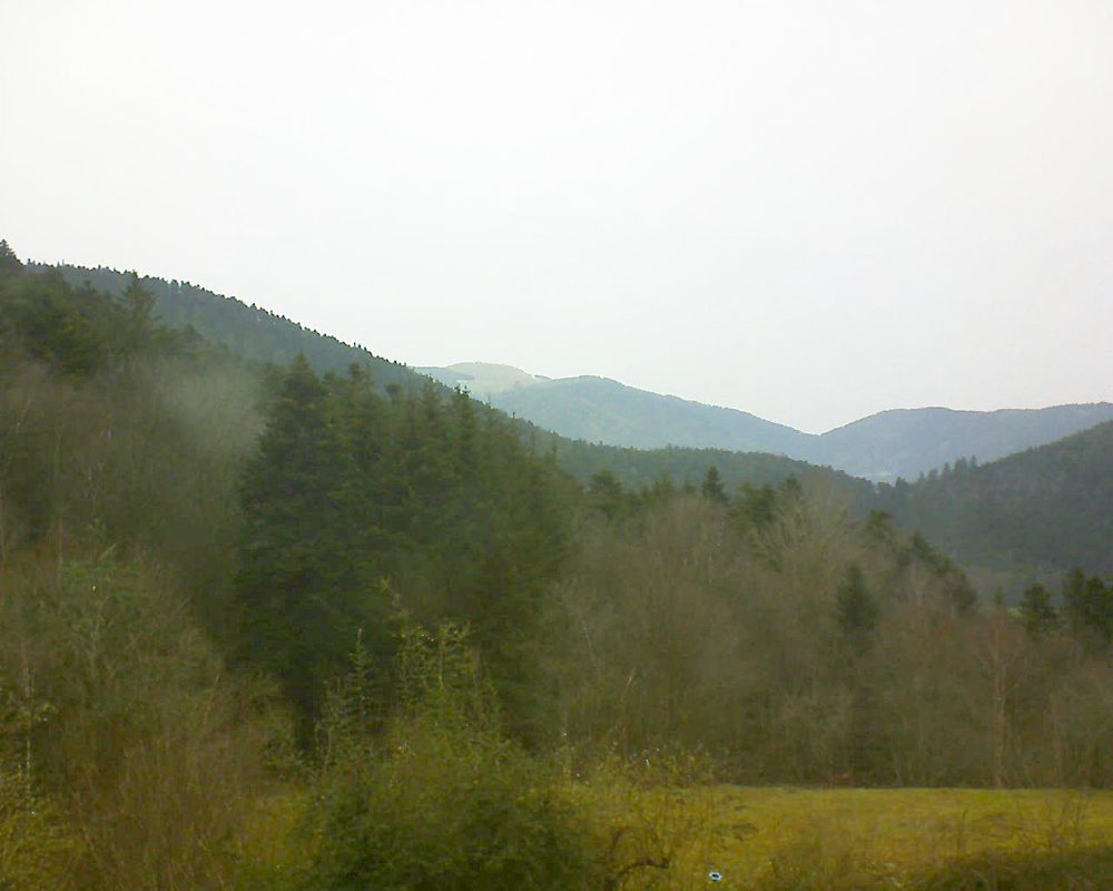 Le petit ballon vu depuis le Domaine Langmatt à Murbach le 06.02.2021 à 13:30 Le petit ballon (Alsace, Vosges) le 06.02.2021 à 13:30