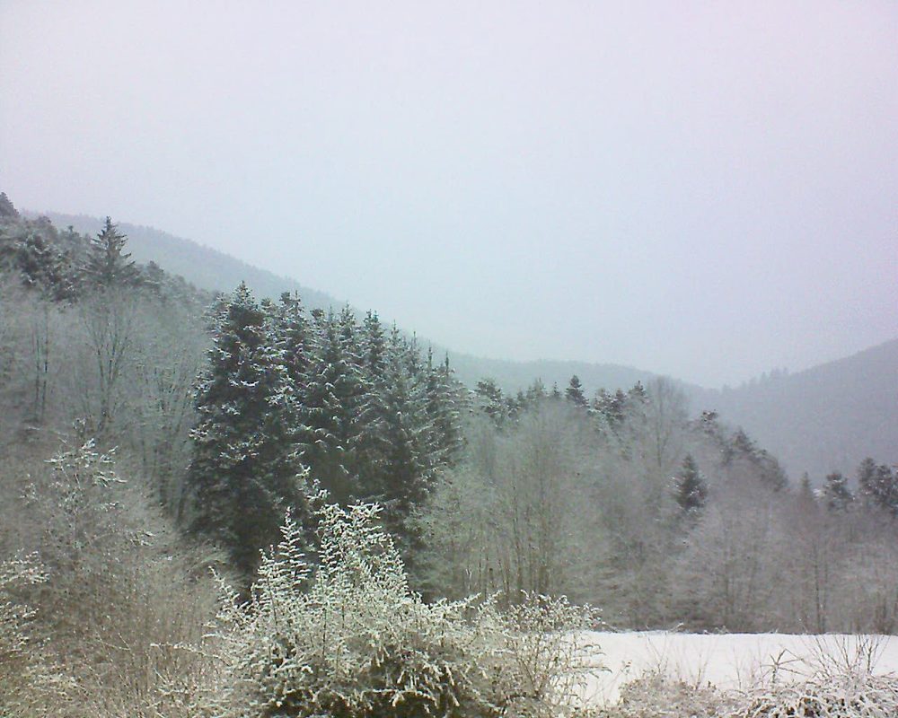 Le petit ballon vu depuis le Domaine Langmatt à Murbach le 08.02.2021 à 09:30 Le petit ballon (Alsace, Vosges) le 08.02.2021 à 09:30